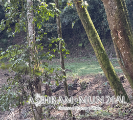 ASHRAM (6)