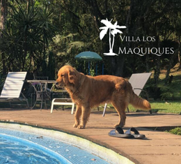 MAQUIQUES (6)